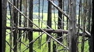 История озера Куницыно вблизи с. Верхоленск Качугского района