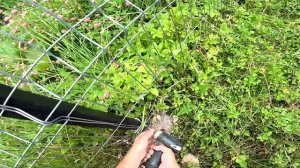 РАЗОБРАЛ ЗАБОР ! ПОГОДА МЕШАЕТ РАБОТАТЬ ! КУПИЛ ХУТОР В ЛЕСУ № 56