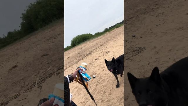 Мы постоянно друг над другом прикалываемся