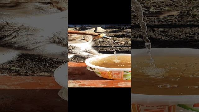 1000179127.mp4