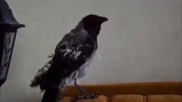 Чайные домики , домики для чая и кофе, подарки, качественные вещи, эксклюзив, подарки любимым