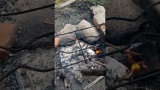Самый вкусный чай и картошка на костре.