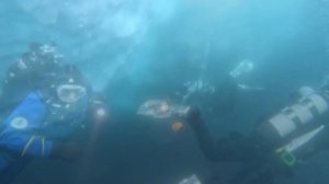 Нырнули под айсберг. Дайвинг в Антарктиде. Путешествия по Миру.