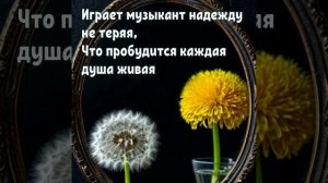 музыкант