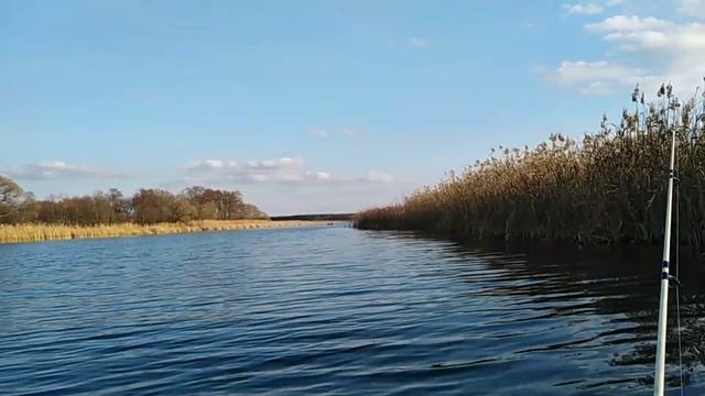 Щука!!! Поймали и съели! смотреть онлайн