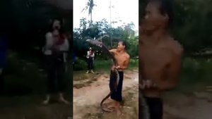 мальчик поймал змея