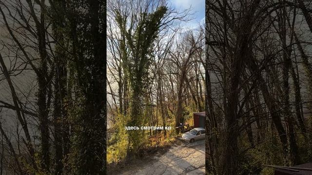 Строим дом с шикарными видами в с. Кудепста🏠 #строимвсочи #домуморя смотреть онлайн