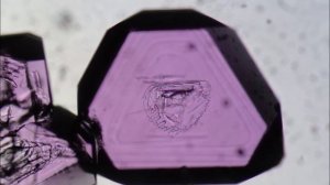 Метаморфозы Юля Иванова