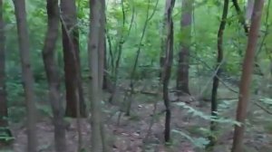 ВЕРНУТЬ ЗЛО НАЗАД. ДЛЯ ВСЕХ. ВЕДЬМИНА ИЗБА ▶️ ИНГА ХОСРОЕВА