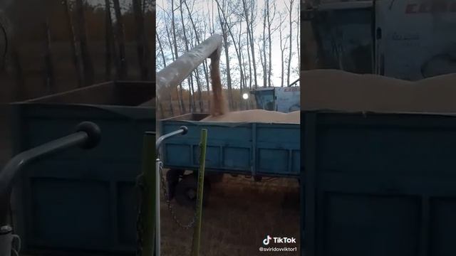 прикалываемся на работе