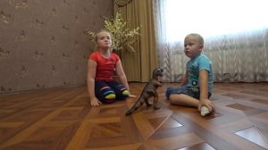 Гиганский Динозавр напал на детей