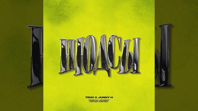 НЮДСЫ