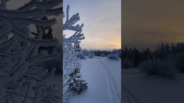 Зима на севере