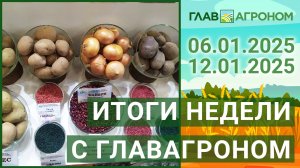 Итоги недели с ГлавАгроном. 06.01.2025 - 12.01.2025