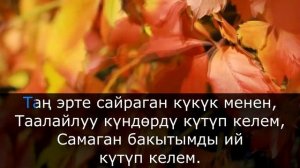 Караоке кыргызча тексти менен минусовка СҮЙҮҮ ДАСТАН - Омар