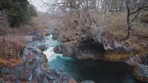 Прогулка на природе в дождливый день в Никко, Япония, расслабляющие звуки природы