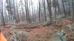 Охота на козла 2019ю