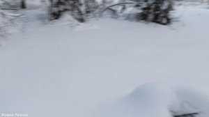 Где зимует РЯБЧИК