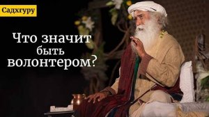 Что значит быть волонтером? Садхгуру