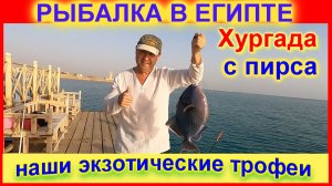 🔴Рыбалка с Пирса🔴Это надо знать🔴Хургада Египет🔴Отель Нубия🔴Fishing from the pier🔴Hurghada🔴