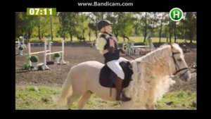 Реклама OLX/ сайт OLX/ До кінця року доставка бескоштовна/ Реклама интернет-сайтов