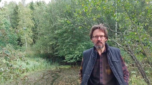 А я жаворонок или сова?!