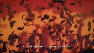 Принцесса Нури Завтрак в Бенгалии