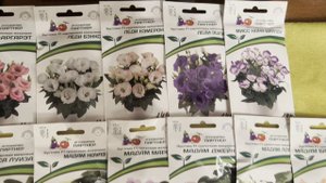 Грунт и посев Эустомы