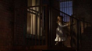 В поисках Санты лапуса