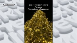 День с Толком 11.01.2025 Итоги