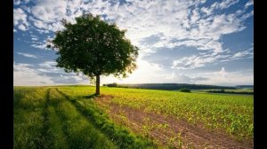 Медленно, медленно небо спустилось к нам.