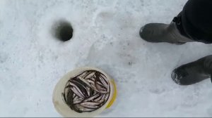 Блесна Огонь 3 см с uv вставкой  от Mr. Musurok в деле 🎣