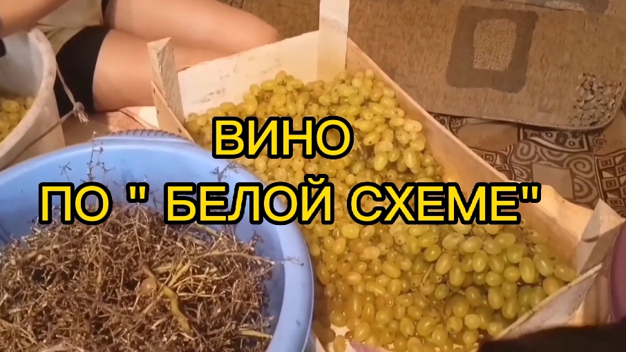 ВИНО ИЗ ВИНОГРАДА ПО "БЕЛОЙ СХЕМЕ".