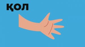 Дене мүшелері балаларға қазақша атаулары. Менің денем #балаларғаарналған #дидактикалықойын