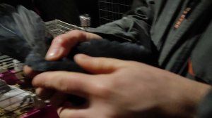 12.01.2024г Ярмарка ст Бронницы ч. 4