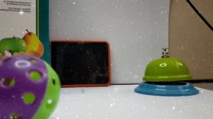 Как научить попугая трюкам?