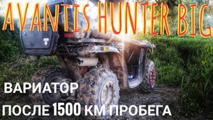 #11 вариатор квадроцикла AVANTIS HUNTER BIG после пробега 1500км