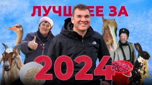 САМЫЙ НЕОБЫЧНЫЙ БИЗНЕС 2024 / Провел день на Ферме и узнал секреты счастливой жизни