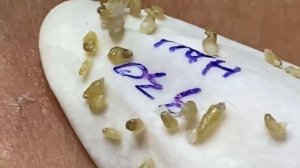 Enjoy Every Day With The Best Video Loan Nguyen Spa Official  2275