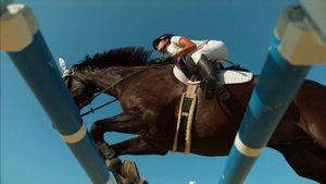 Прыжок на лошади через препятствие