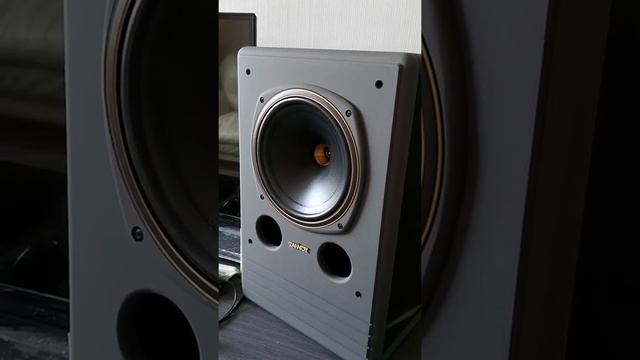 Tannoy SYSTEM 10 E