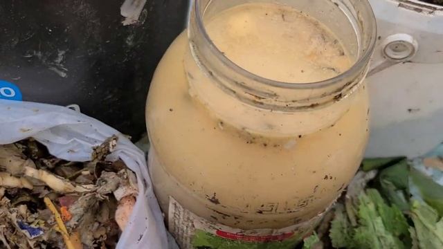 Открываю сезон дачной БАРМАТУХИ .15 марта 2024г . смотреть онлайн