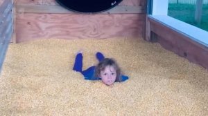 Отборная подборка приколов. Смешное видео. Файлы. Угар 🤣 2025