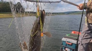 Удачная рыбалка на щуку в заливе Дербина. ч.2