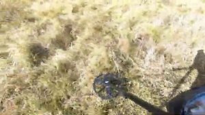 Полное видео с копа. С находками железа на МТМ.