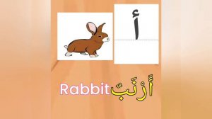 Произношение названий животных на арабском языке  Pronunciation of animal names in Arabic .