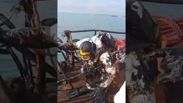 Вот в таком виде сейчас выходят водолазы из Черного моря. На дне все еще остается 5 тыс. тонн маз...