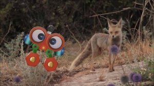 Learn About Dogs & Animals for Kids with Robi | Animals Names & Sounds | Wild Animals for Children