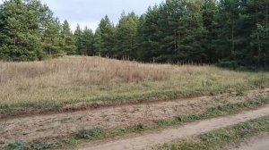 Коп 2019. По битым местам