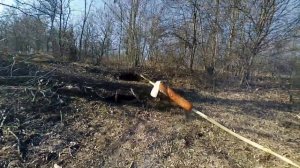 ПОХОД К ОЗЕРУ НА ПИКНИК. ЖАРИМ сосиски на КОСТРЕ.